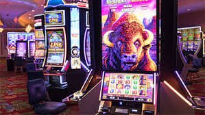 bet 5055