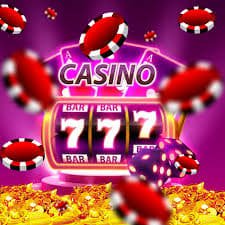 bet 5055 bet 5055